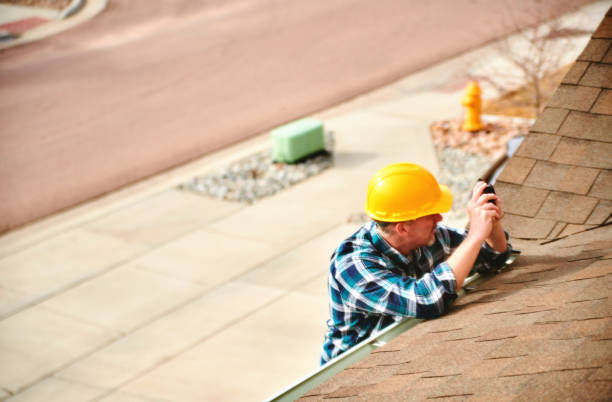 Best Roof Gutter Cleaning  in Buena Vista, VA