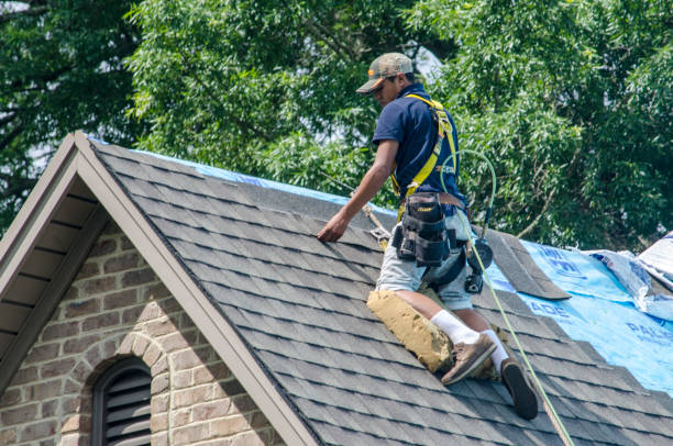 Best Shingle Roofing Installation  in Buena Vista, VA